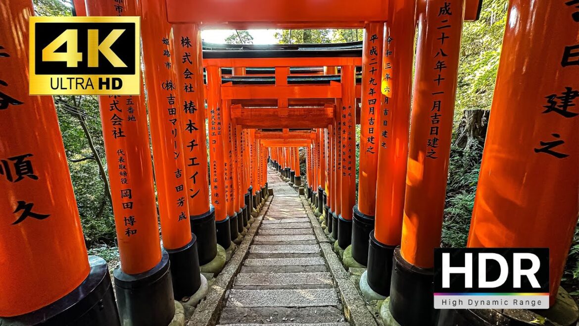 【4K HDR】Fushimi Inari Shrine in Kyoto: All 10,000 Gates Explored 【4K HDR】Fushimi Inari Shrine in Kyoto: All 10,000 Gates Explored