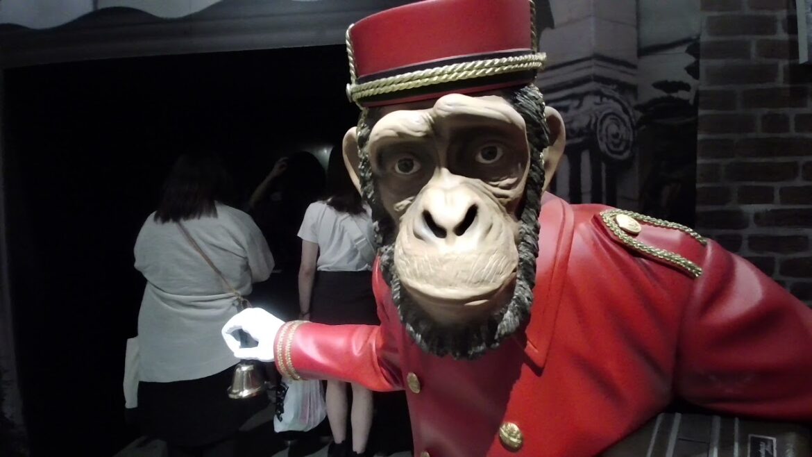 WHO IS BANKSY? | Exhibition in Tokyo tour