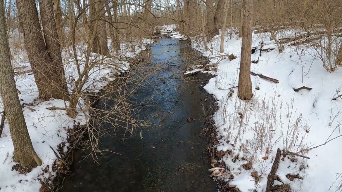 Lost In The Woods In Winter | 4k Walking In Winter | Ohio Metro Parks | Prairie Oaks | GoPro | Trail