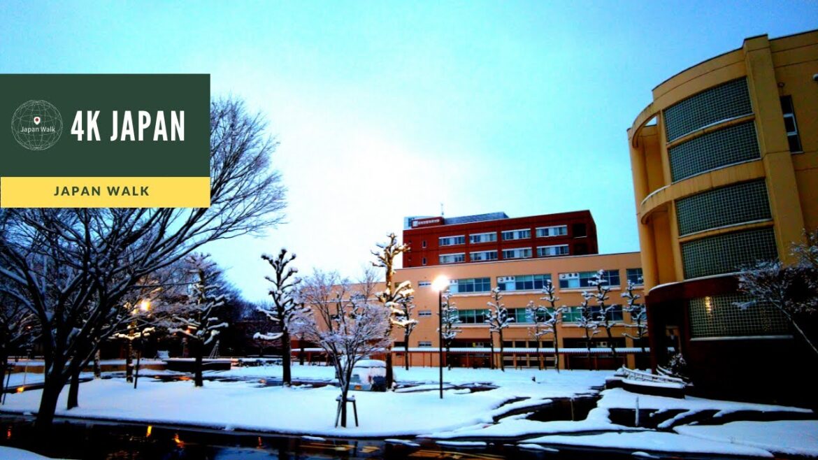 Snow 4K Japan Walk – NIIGATA Nagaoka University of Technology Neighborhood Walking Tour | 新潟長岡 2021 Snow 4K Japan Walk - NIIGATA Nagaoka University of Technology Neighborhood Walking Tour | 新潟長岡 2021