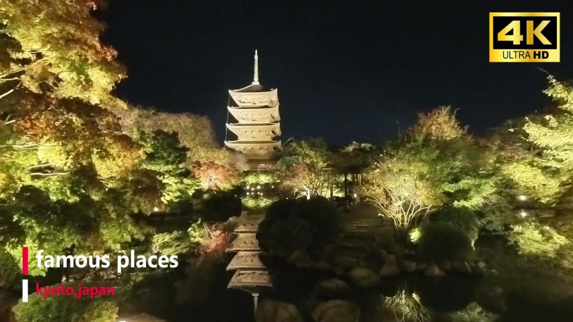 【4K】Guide to famous places in Japan(Touji  kyoto,japan)Nighttime Visit