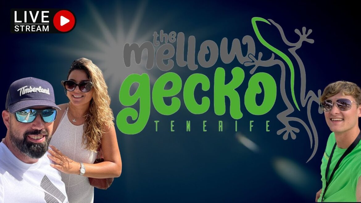 🔴 Live from The Mellow Gecko in amazing Sunny Tenerife