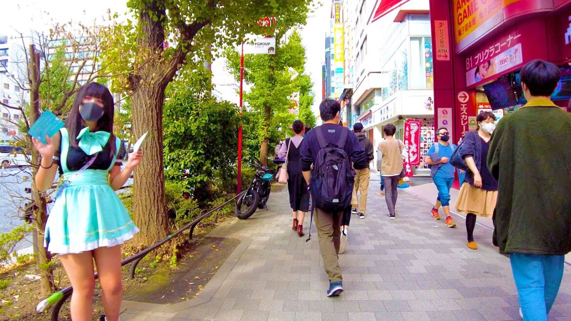 Akihabara in Tokyo. Refresh everyone's mind βͺππΆ4K ASMR non-stop 1 hour 02 minutes Akihabara in Tokyo. Refresh everyone's mind βͺππΆ4K ASMR non-stop 1 hour 02 minutes