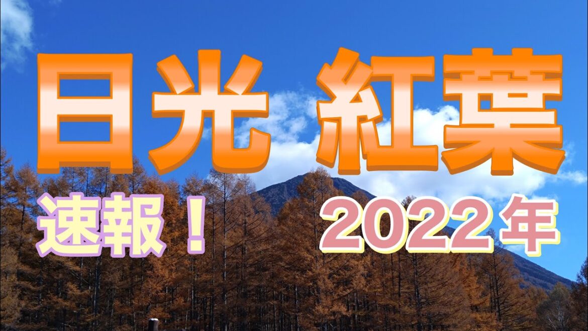 ドライブ　日光の綺麗な紅葉！【栃木県】2022年10月30日