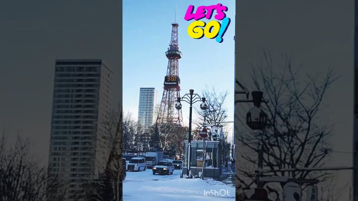 GREAT view on top of Sapporo TV Tower❗| Japan Trip VIII