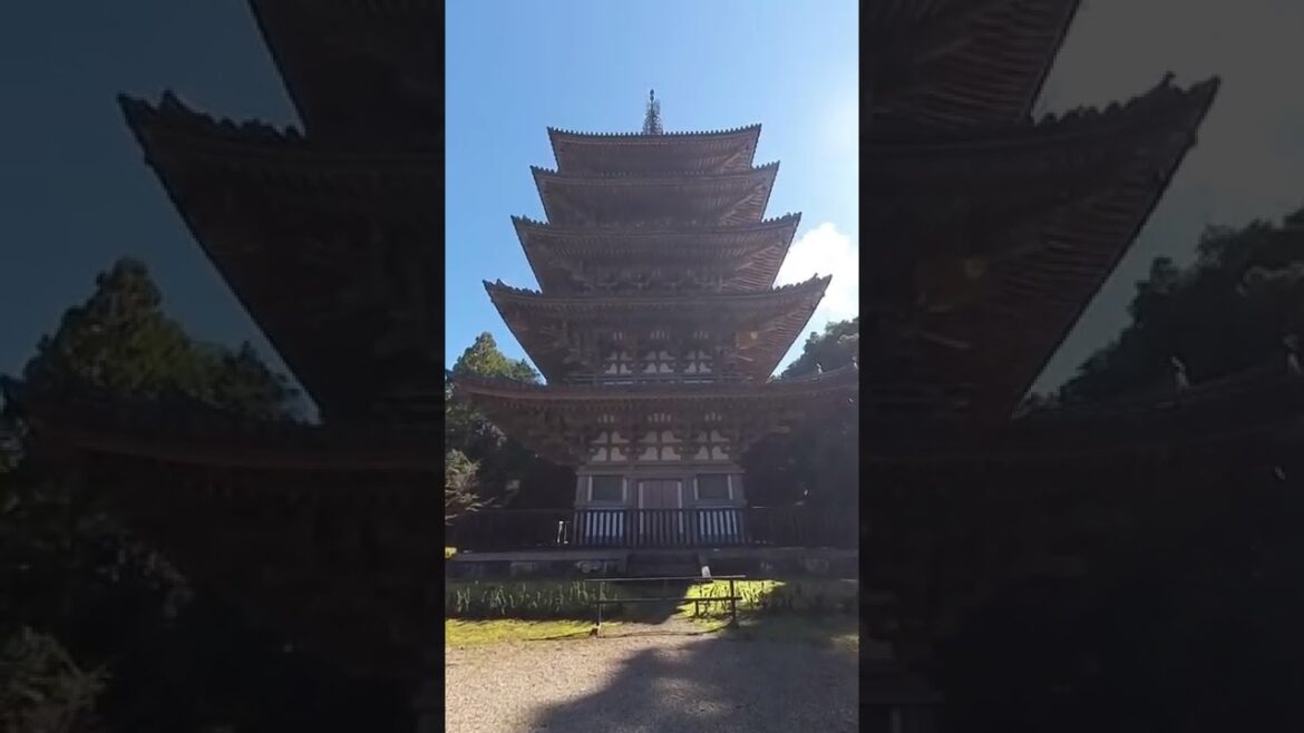 【4K】Guide to famous places in Japan(Daigoji  kyoto,japan) #shorts