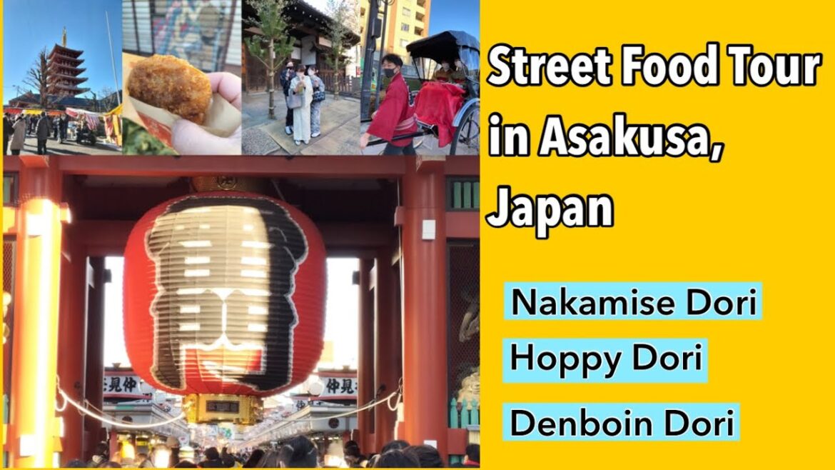 Street Food Tour in Asakusa, Japan (Nakamise Dori, Hoppy Dori, Denboin Dori)