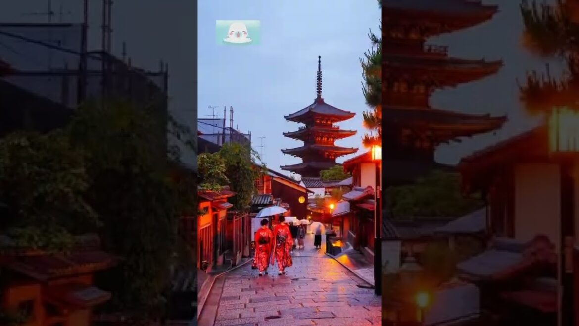 😲...Visit Japan...😱