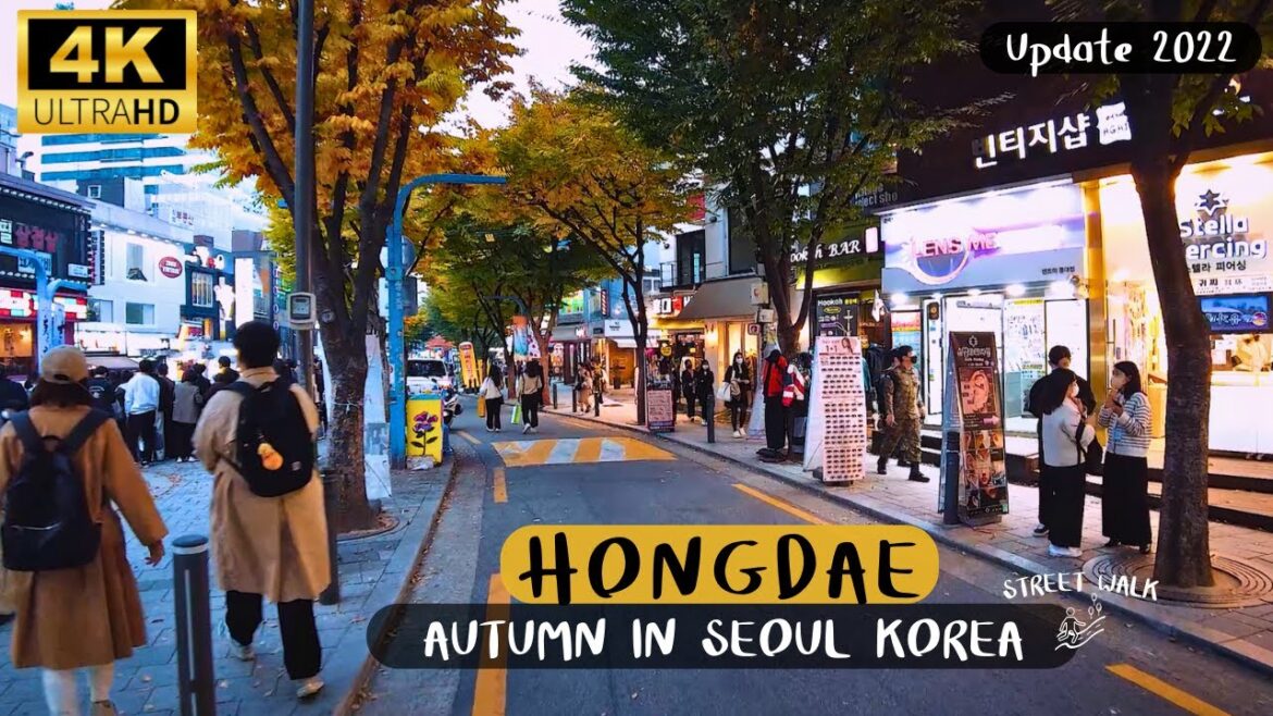 4K UHD 🇰🇷 | Hongdae,Hongik University - Seoul walker south Korea shopping street walk 4K UHD 2022