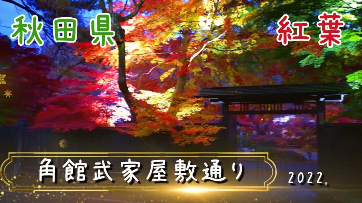 歴史ある武家屋敷と紅葉が美しい「みちのくの小京都」秋田角館「武家屋敷通り」Akita “Little Kyoto in Michinoku” with beautiful autumn leaves 歴史ある武家屋敷と紅葉が美しい「みちのくの小京都」秋田角館「武家屋敷通り」Akita "Little Kyoto in Michinoku" with beautiful autumn leaves