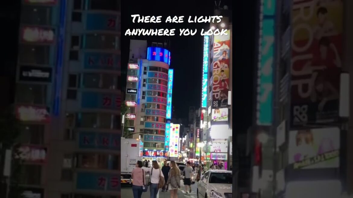 TOKYO BY NIGHT. One of the best places to experience nightlife in Tokyo is Shinjuku.