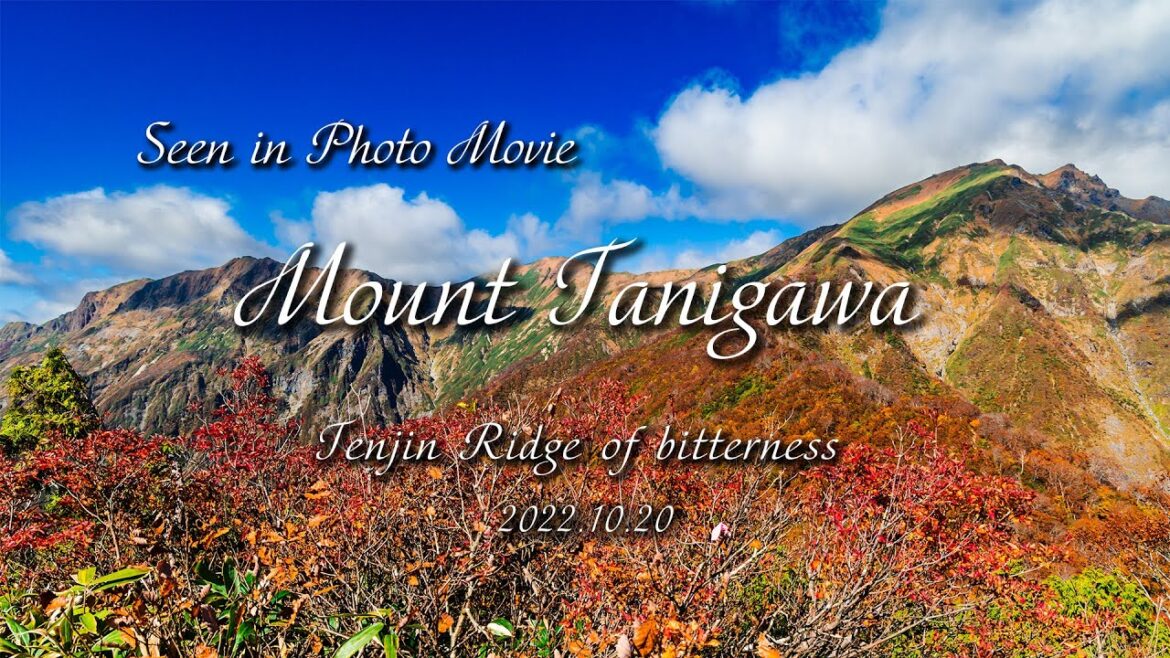 #04 フォトムービーで見る 谷川岳 天神平紅葉 #04 フォトムービーで見る 谷川岳 天神平紅葉