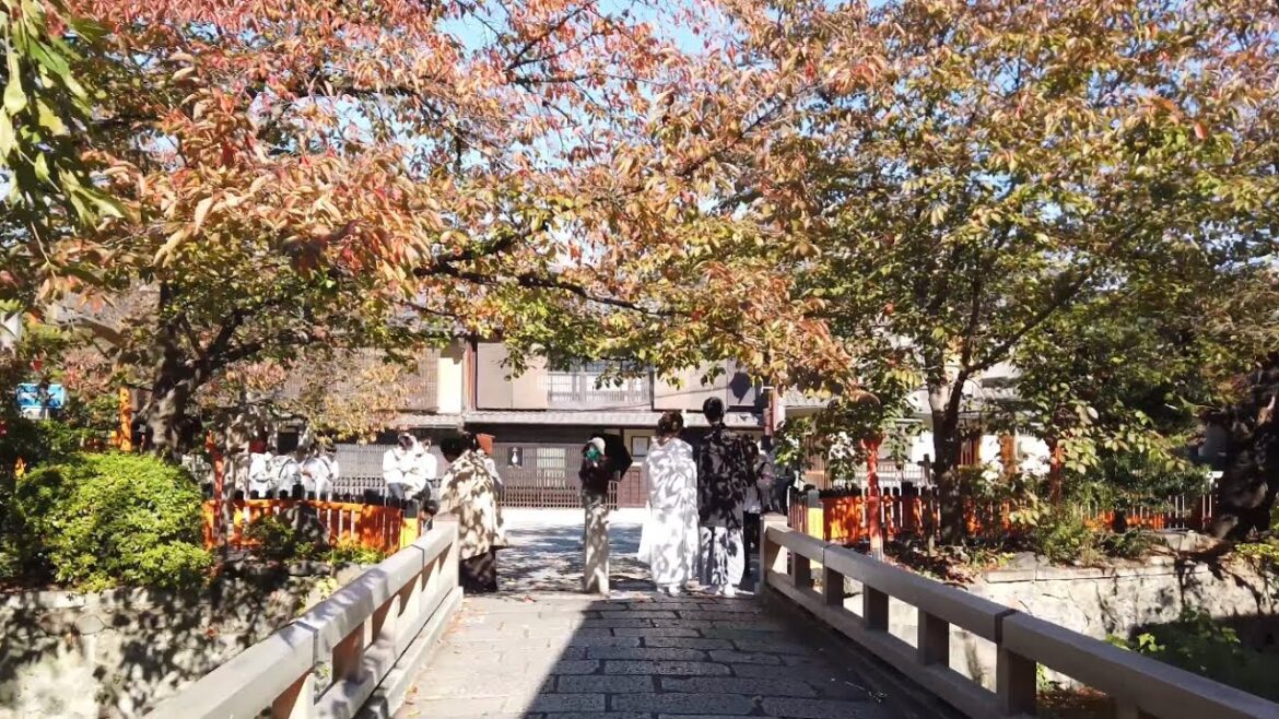 22年11月6日 秋色の景色と京都を歩く 清水寺,三年坂,八坂の塔,八坂庚申堂,ねねの道,八坂神社,祇園 Walk around Kyoto city,Japan vlog 22年11月6日 秋色の景色と京都を歩く 清水寺,三年坂,八坂の塔,八坂庚申堂,ねねの道,八坂神社,祇園 Walk around Kyoto city,Japan vlog