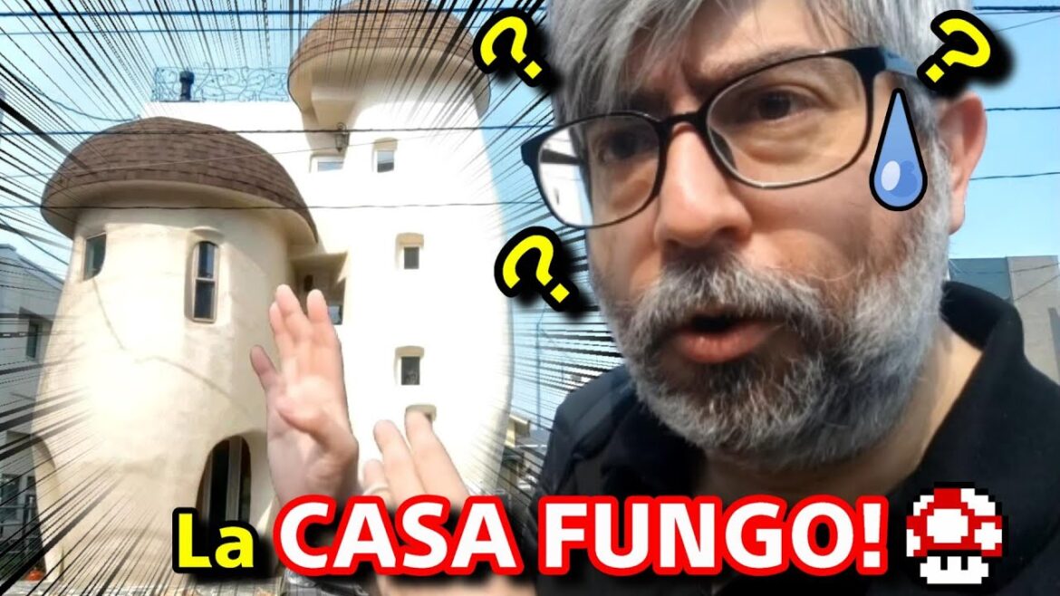 TRA CASE FUNGO, ALBERGHI DELL'AMORE E CORVI TEPPISTI! - Vivi Giappone