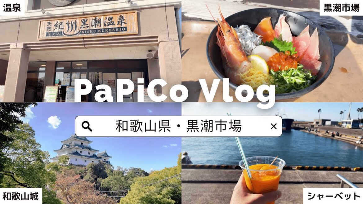 【黒潮市場/和歌山城】新鮮の海鮮丼を食べ、露天風呂にはいる最高の1日Vlog 【黒潮市場/和歌山城】新鮮の海鮮丼を食べ、露天風呂にはいる最高の1日Vlog