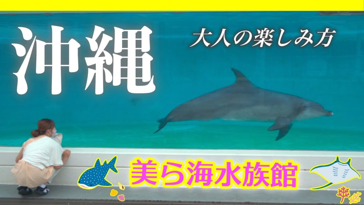 【沖縄旅行】美ら海水族館で大人の楽しみ方!ハナサキマルシェでショッピングしてロワジールホテル古宇利島に宿泊 【沖縄旅行】美ら海水族館で大人の楽しみ方!ハナサキマルシェでショッピングしてロワジールホテル古宇利島に宿泊