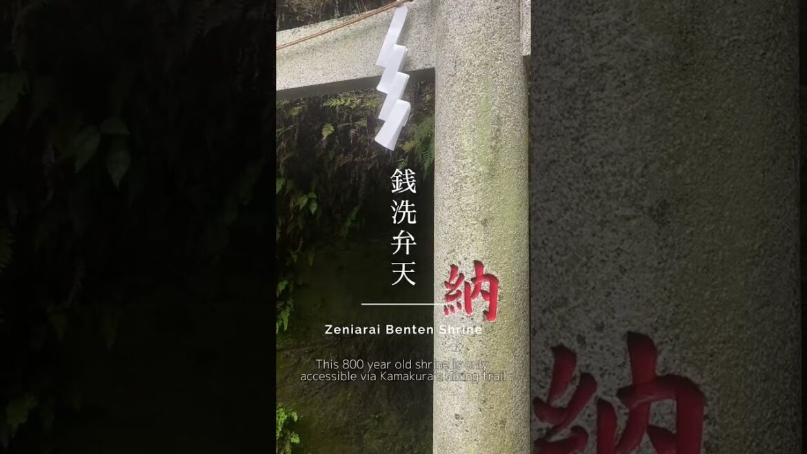 Japan's Money-Making Shrine | Zeniarai Benten Shrine, Kamakura #japan #travel #travelvlog