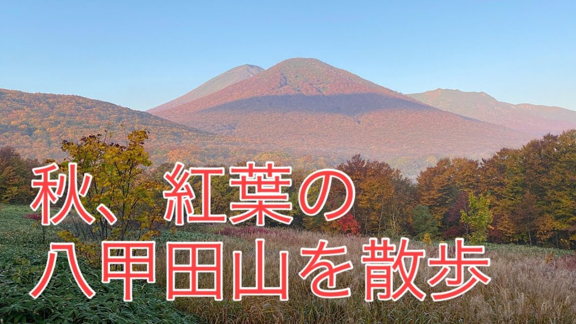 【2022年秋】紅葉の八甲田山を登山・散歩してきました。酸ヶ湯（すかゆ）温泉の登山口より