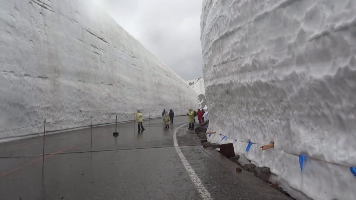 Japan 2015 Ice Wall - Tateyama Kurobe Alpine Route