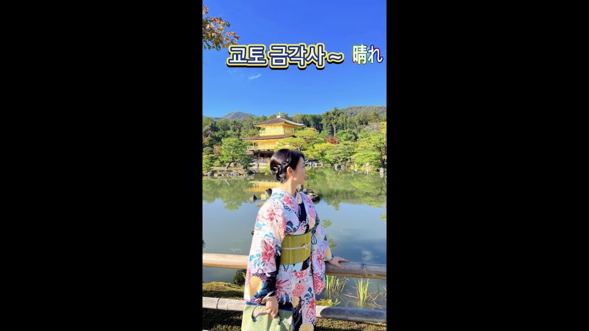 교토 날씨는 금각사처럼 블링블링 눈부시네요 🙋🏻‍♀️✨✨✨💛💙 | 金閣寺の秋