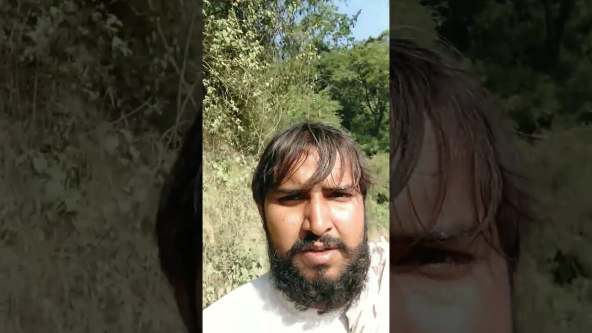 #प्रकृति की गोद में#Inlapof nature#shorts#travel#vlog#vlogger#mahadev#trendingshorts#youtubeshorts|| #प्रकृति की गोद में#Inlapof nature#shorts#travel#vlog#vlogger#mahadev#trendingshorts#youtubeshorts||