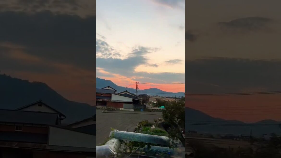 岡山　#japan #okayama #岡山 #岡山駅前 #viralvideo #viralshorts #shorts