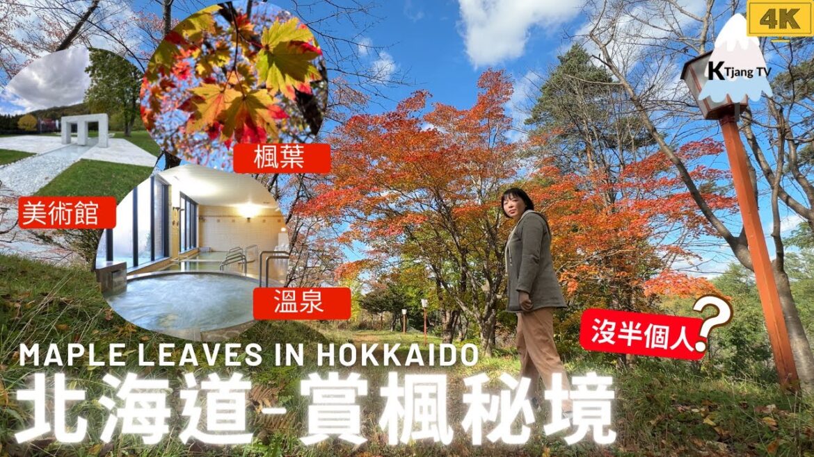 一人自駕北海道【賞楓泡湯之旅】無人秘境超詭異?安田侃彫刻美術館 Maple leaves secret spot in Hokkaido 一人自駕北海道【賞楓泡湯之旅】無人秘境超詭異?安田侃彫刻美術館 Maple leaves secret spot in Hokkaido
