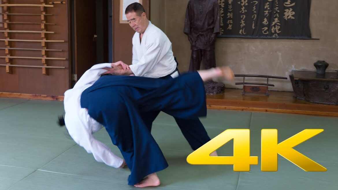 Aikido Experience with Matsumaru Sensei - 合気道 - 4K Ultra HD