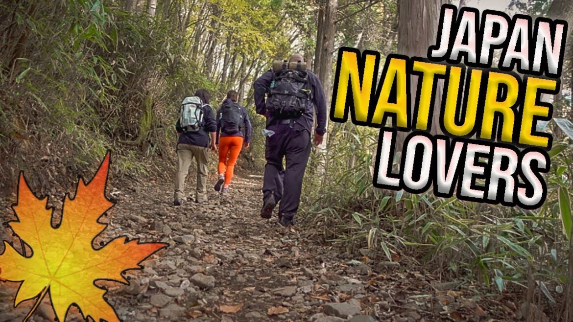 Japan Day Hiking near Tokyo: Climbing Mt. Ishiwari