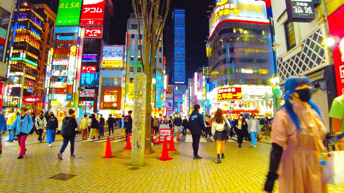 【4K】Tokyo Walk, Crazy Shinjuku Night Streets / 夜の新宿＆歌舞伎町を裏道まで歩き倒す【Japan】