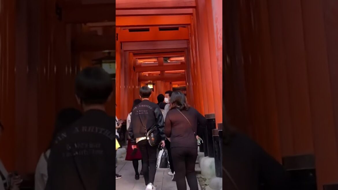 【京都】伏見稲荷大社の美しい鳥居に入る　[Kyoto] Enter the beautiful torii of Fushimi Inari Taisha