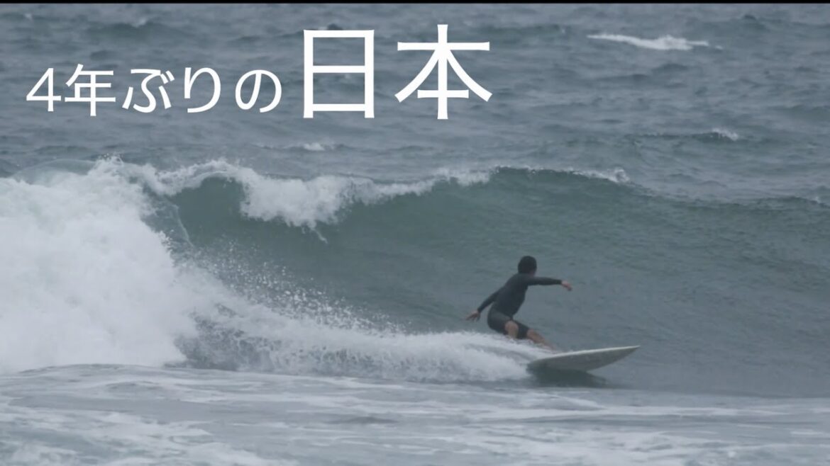 日本にやってきました。 日本にやってきました。