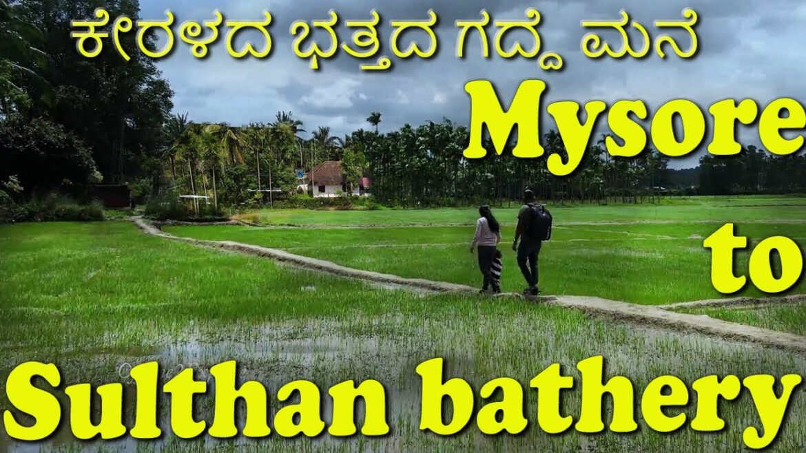 Budget stay in Kerala| Mysore to Sulthan bathery drive| ಕನ್ನಡ ವ್ಲಾಗ್