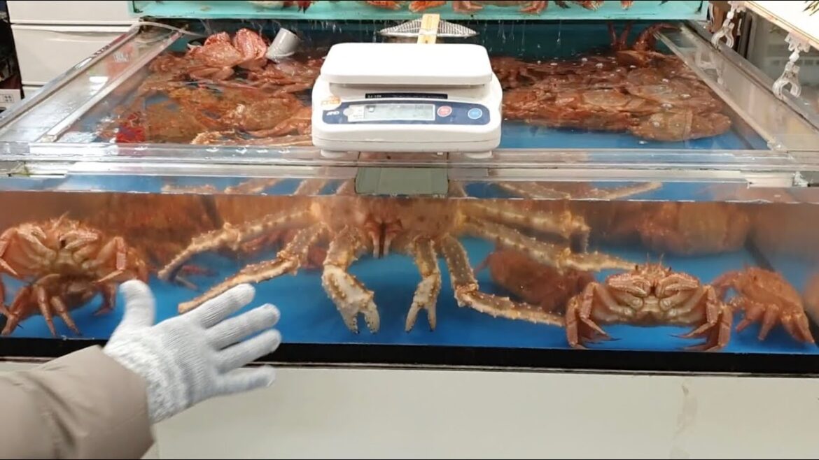 Asaichi Morning Market|Gigantic Crab|Japan 2020|Feb2