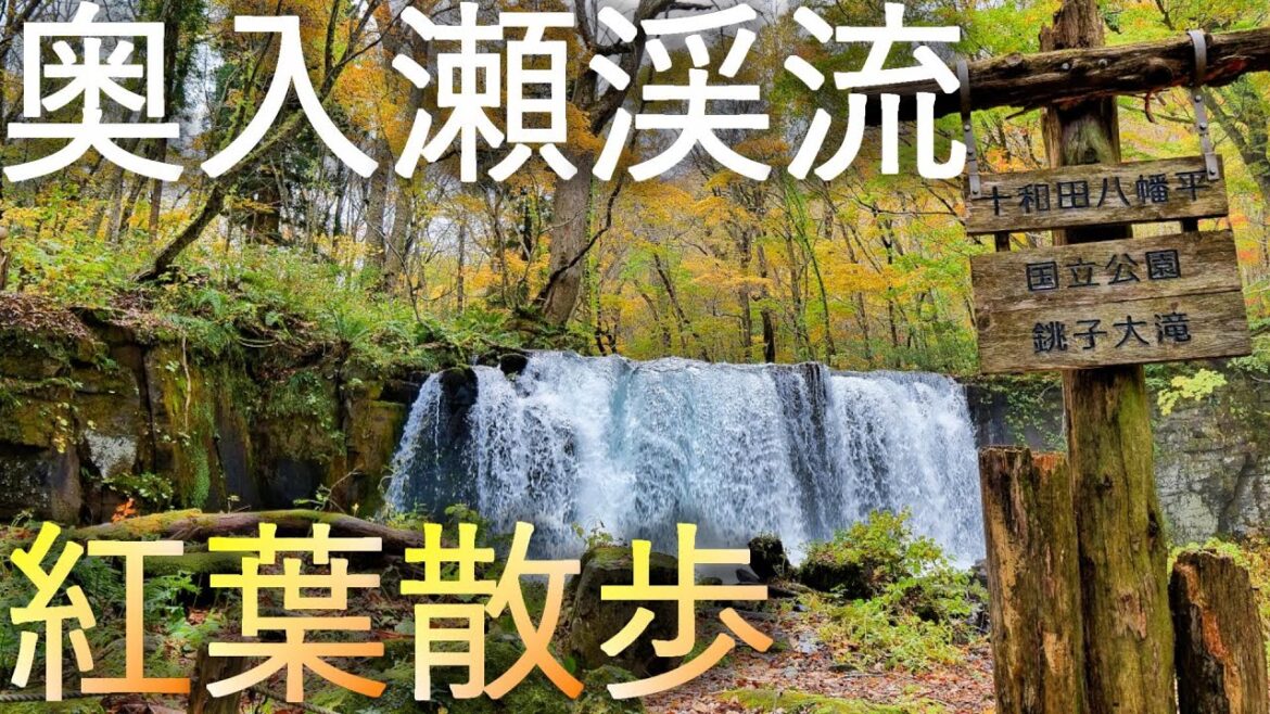 【奥入瀬渓流】石ヶ戸から子ノ口 紅葉散歩【青森県十和田市】4K60P Oirase stream, Autumn leaves in Towada City, Aomori Prefecture 【奥入瀬渓流】石ヶ戸から子ノ口 紅葉散歩【青森県十和田市】4K60P Oirase stream, Autumn leaves in Towada City, Aomori Prefecture