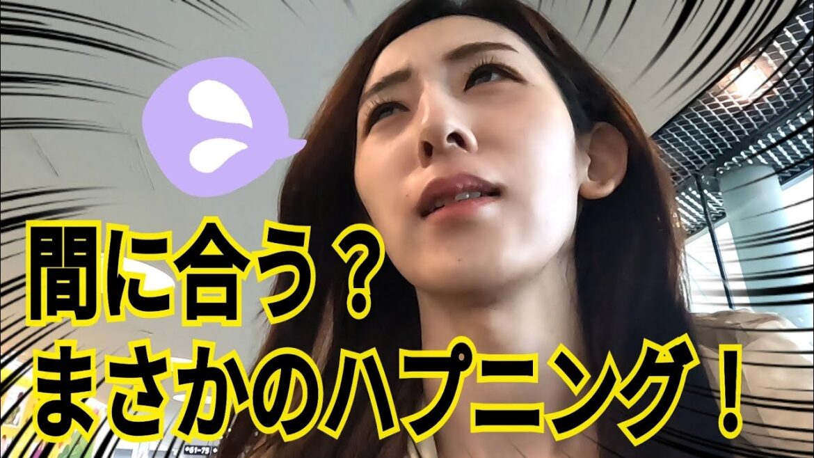 【成田国際空港】日本出発できない!?空までの旅 【成田国際空港】日本出発できない!?空までの旅