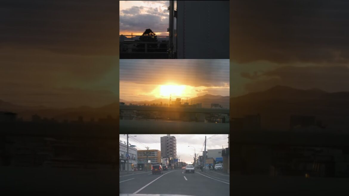 Driving Car Sunset in Sapporo, Hokkaido - Shorts