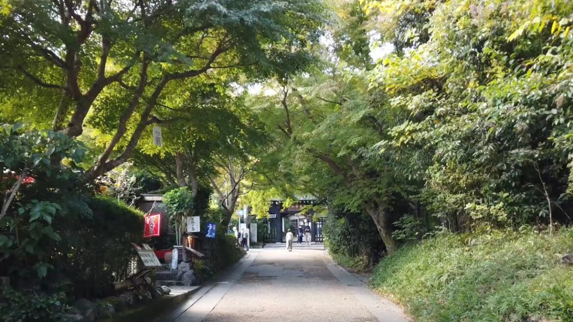 22年11月3日 ゆっくりと風情ある京都を歩く 化野念仏寺,二尊院,常寂光寺,トロッコ嵐山駅 Walk around Kyoto city,Japan vlog 22年11月3日 ゆっくりと風情ある京都を歩く 化野念仏寺,二尊院,常寂光寺,トロッコ嵐山駅 Walk around Kyoto city,Japan vlog