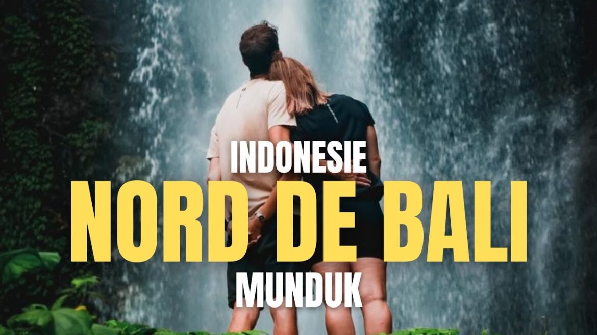 MUNDUK - BALI: VOUS DEVEZ VISITER LE NORD DE BALI ! [VLOG]