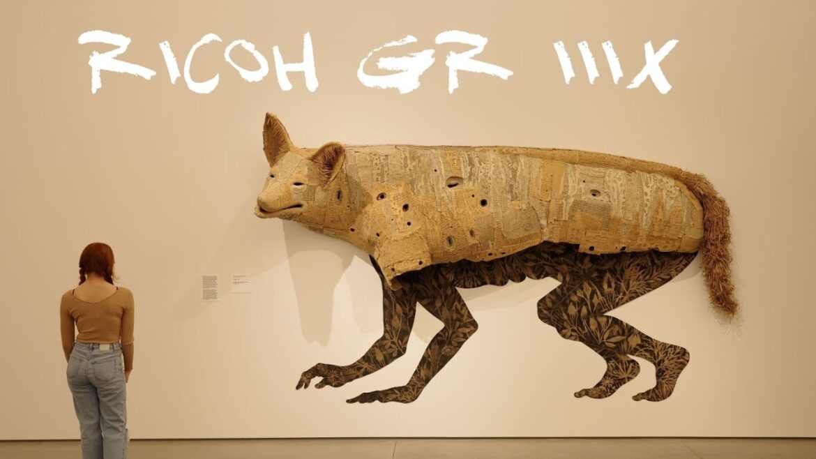 Photography in Orange County with Ricoh GR IIIx l SONY ZV1 l OCMA Orange County Museum of Art