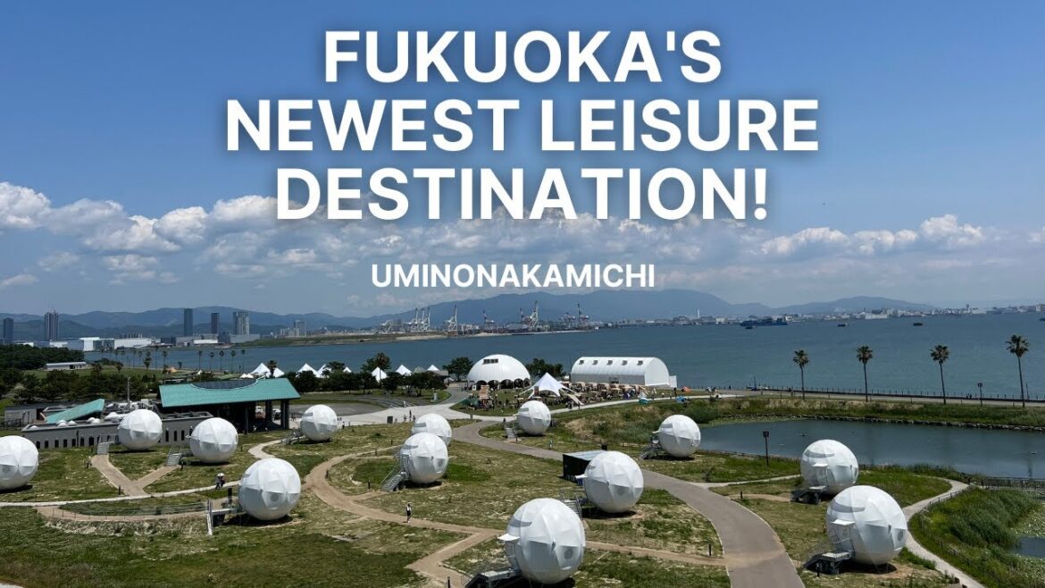 Fukuoka’s Newest Leisure Destination! - Uminonakamichi / 海の中道 INN THE PARKでマーケットイベント“New Weekend”開催
