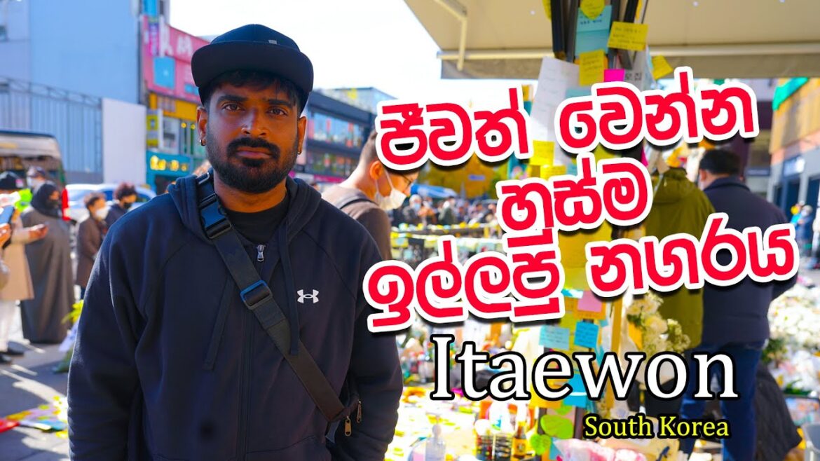 මාව බේර ගන්න මට හුස්ම ගන්න බැහැ කොරියාවෙ සැමරූ හැලෝවින් සාදයේ දුක්බර කතාව |Manjuwithsouthkorea|