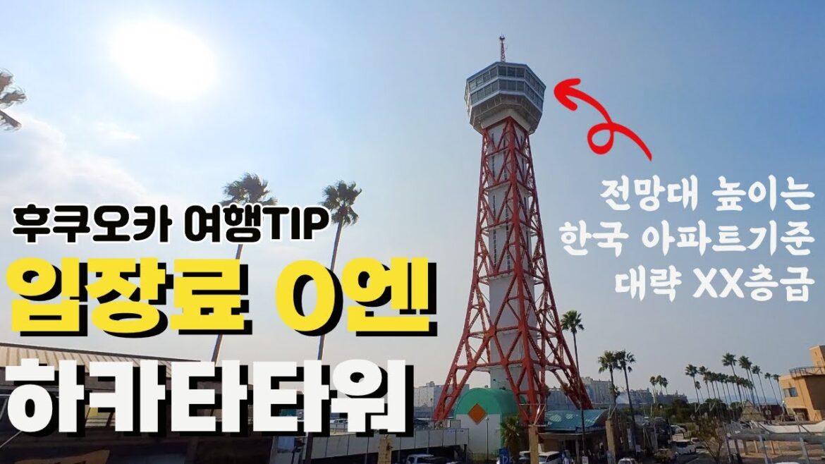 후쿠오카 여행하면 가볼만한 하카타 포트 타워ㅣ후쿠오카를 소개하는 남자 복남福男ボンナム