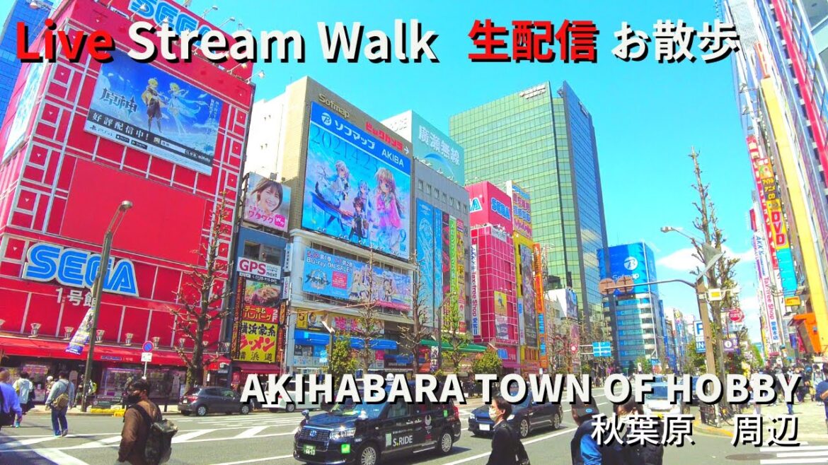 【Live walk / 生配信散歩】Akihabara Tokyo, Japan in Saturday Afternoon / 土曜日午後の東京・秋葉原をお散歩！！