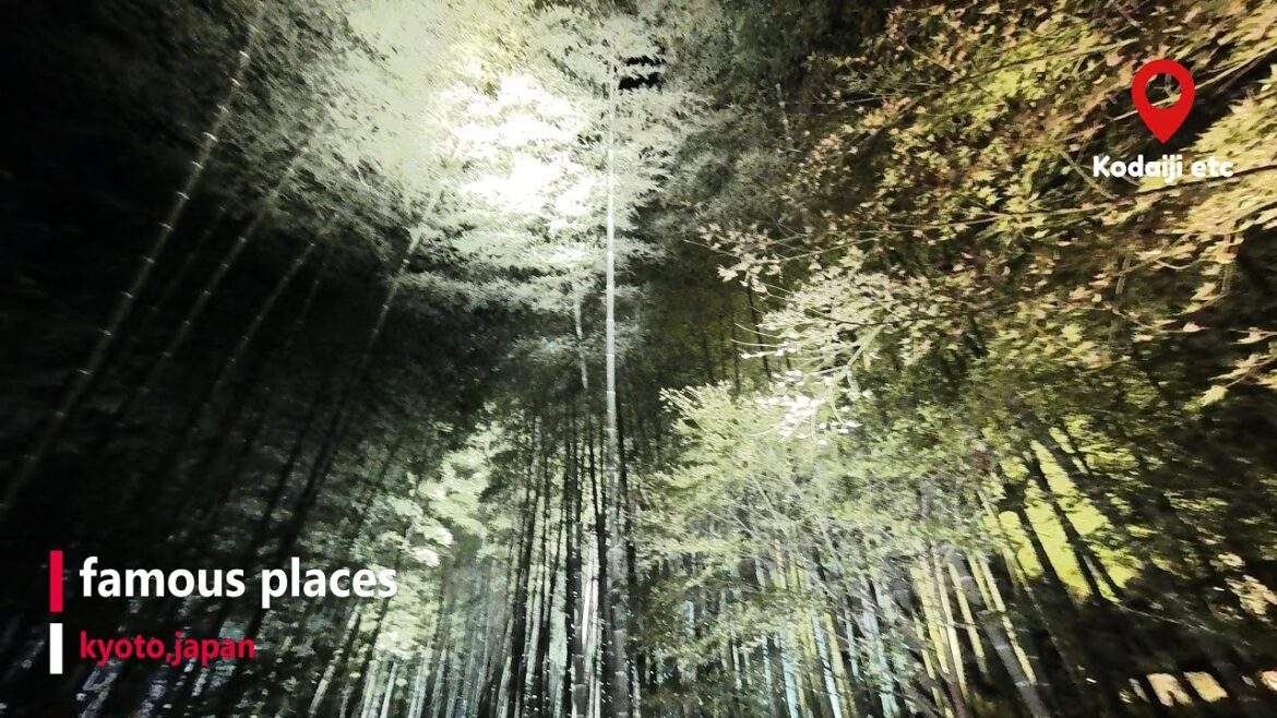 【4K】Guide to famous places in Japan(Kodaiji etc   kyoto,japan)night visit