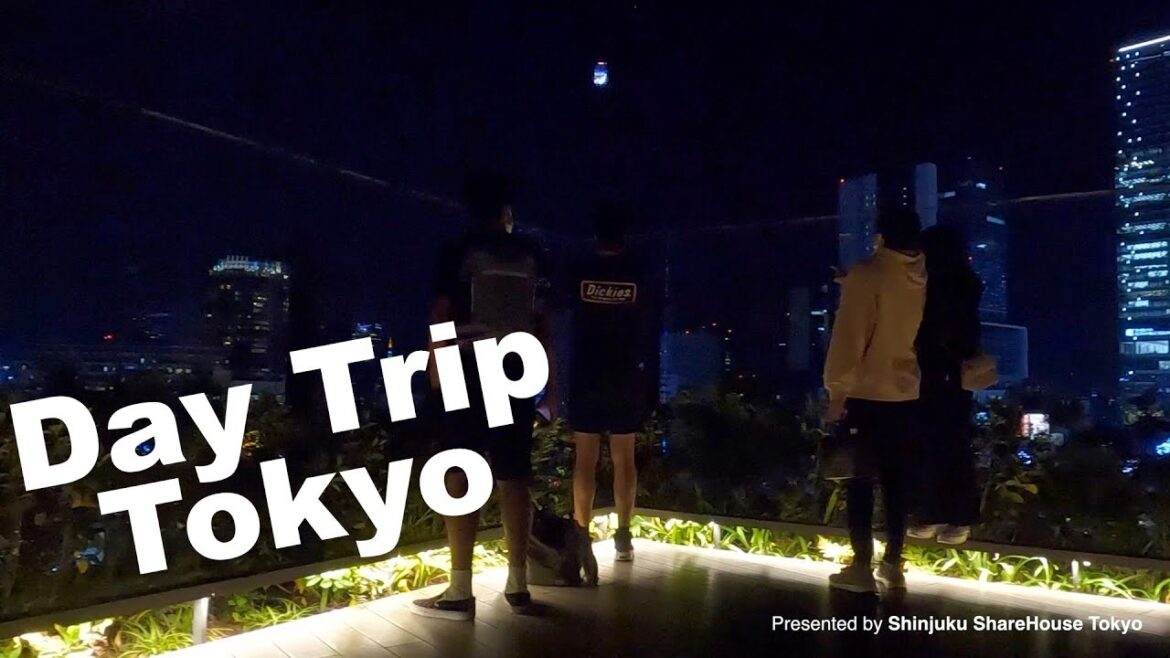 【2022 Japan 4K 】 Day Trip Yoyogi Park & Shibuya  TOKYO