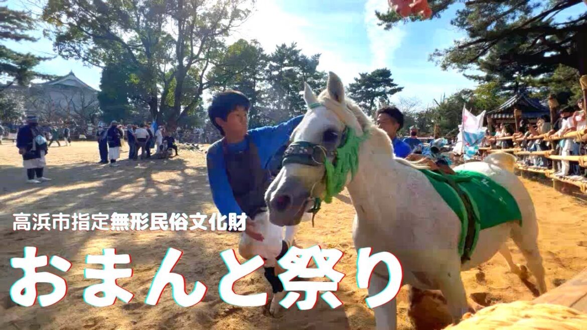 無形民俗文化財「高浜おまんと祭り」＃春日神社＃愛知県＃おまんと祭り