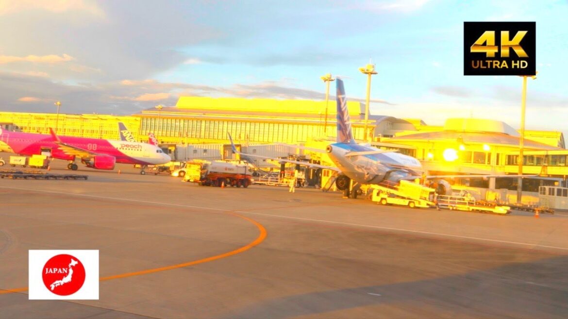 Travel around Japan 那覇空港から飛行機の旅！綺麗な沖縄を上空からお届け！