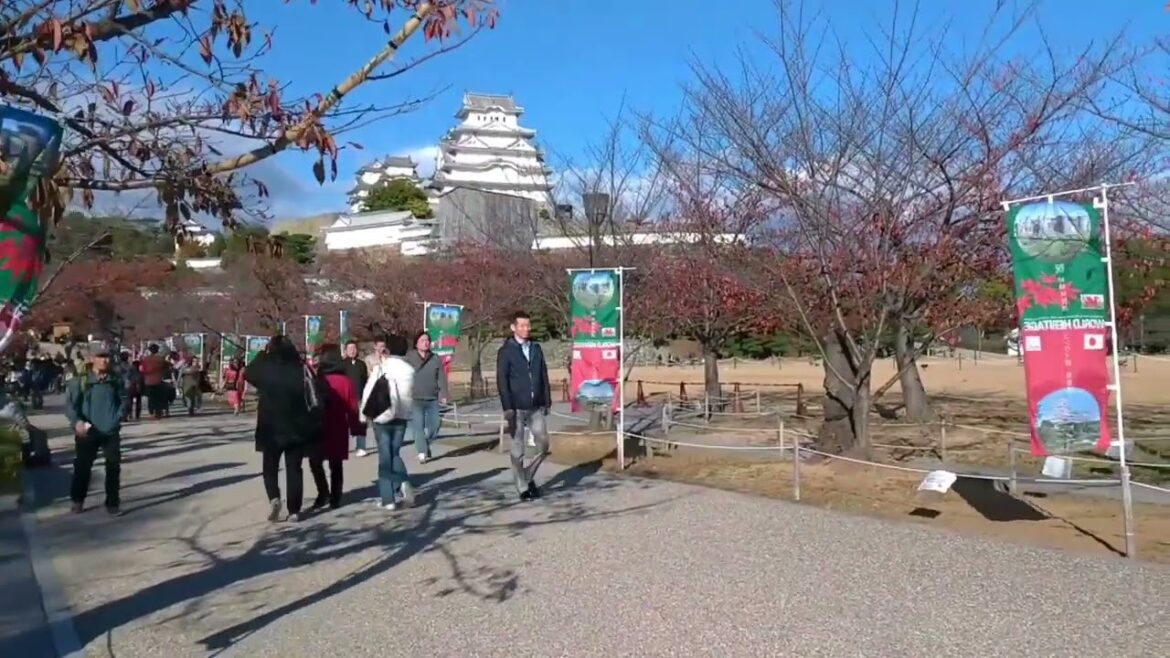Japan vlog | Fall colors at Eikando Temple and Himeji Castle