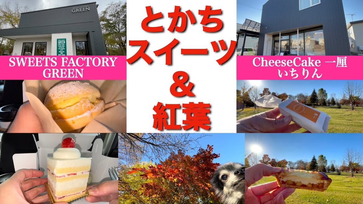 【SWEETS FACTORY GREEN&CheeseCake 一厘】十勝の極上スイーツと秋を満喫 新千歳空港にもお店がある絶品生クリームケーキと専門店の衝撃リンゴのチーズケーキ 【SWEETS FACTORY GREEN&CheeseCake 一厘】十勝の極上スイーツと秋を満喫 新千歳空港にもお店がある絶品生クリームケーキと専門店の衝撃リンゴのチーズケーキ